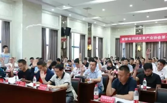 安徽省羽絨皮草產(chǎn)業(yè)協(xié)會(huì)成立，夏吉國(guó)總裁任第一屆理事會(huì)顧問(wèn)