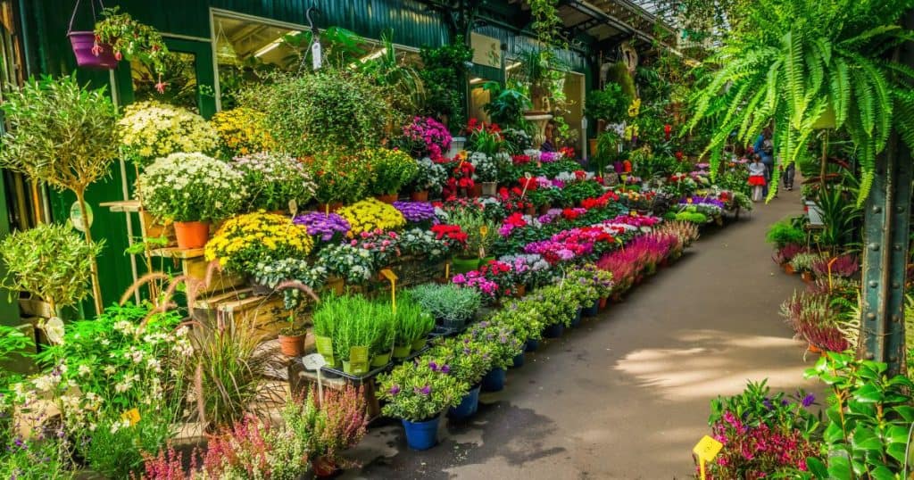 Flower Markets - Best Places to Visit in Paris for Shopaholics