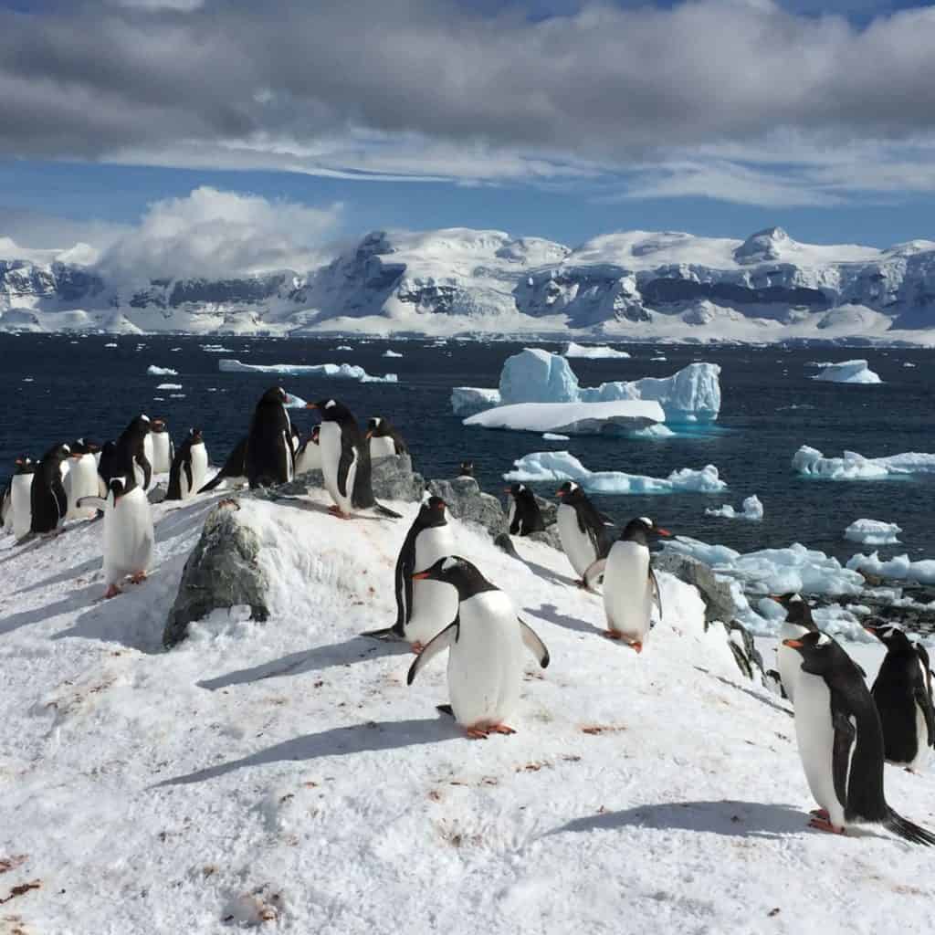 Antarctica Expedition - Best Places to Travel