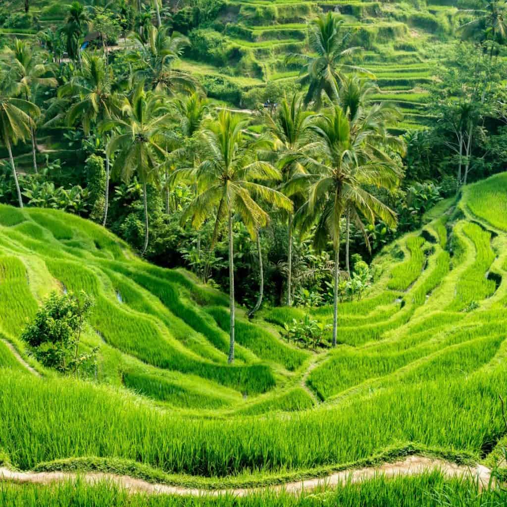Best Month to Visit Bali for Nature Hikes