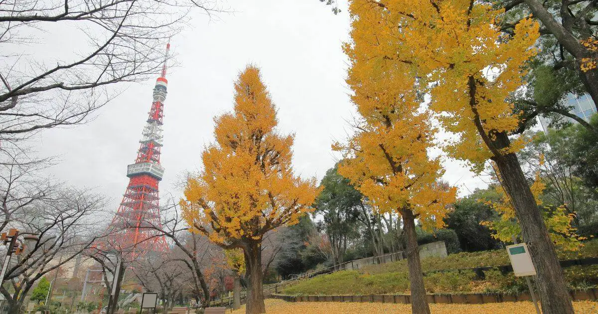 Best Tokyo Spots for Nature Enthusiasts - Nature Lover's Paradise