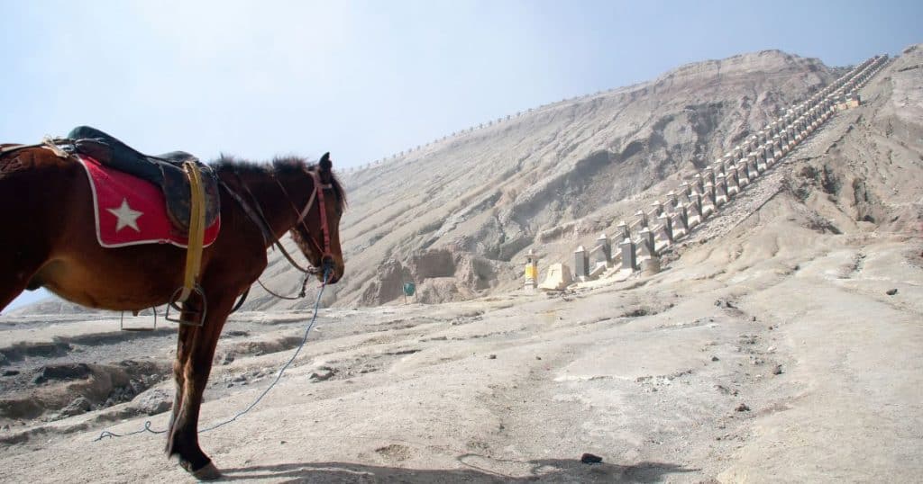 Horse Riding -  Mount Bromo Tour