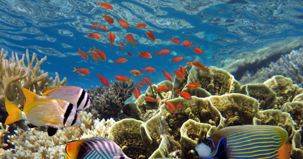 Aquarium and Mini Egypt Park - Best Things to Do in Hurghada