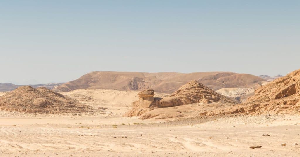Desert Adventures - Best Things to Do in Dahab