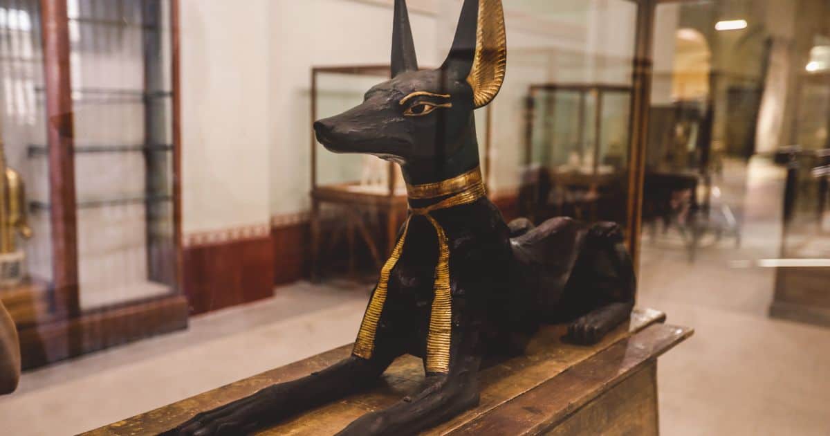 Discover The Best Must-See Museums in Cairo