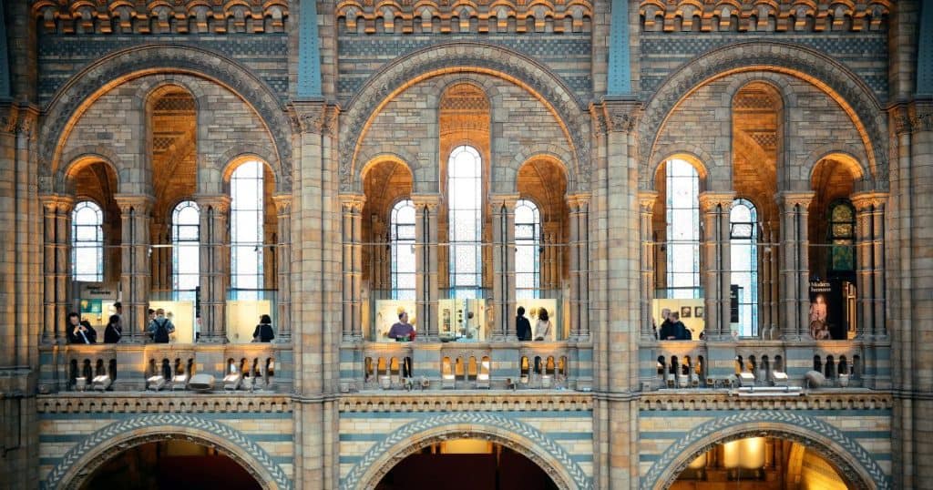Natural History Museum -  Must-See Museums in London