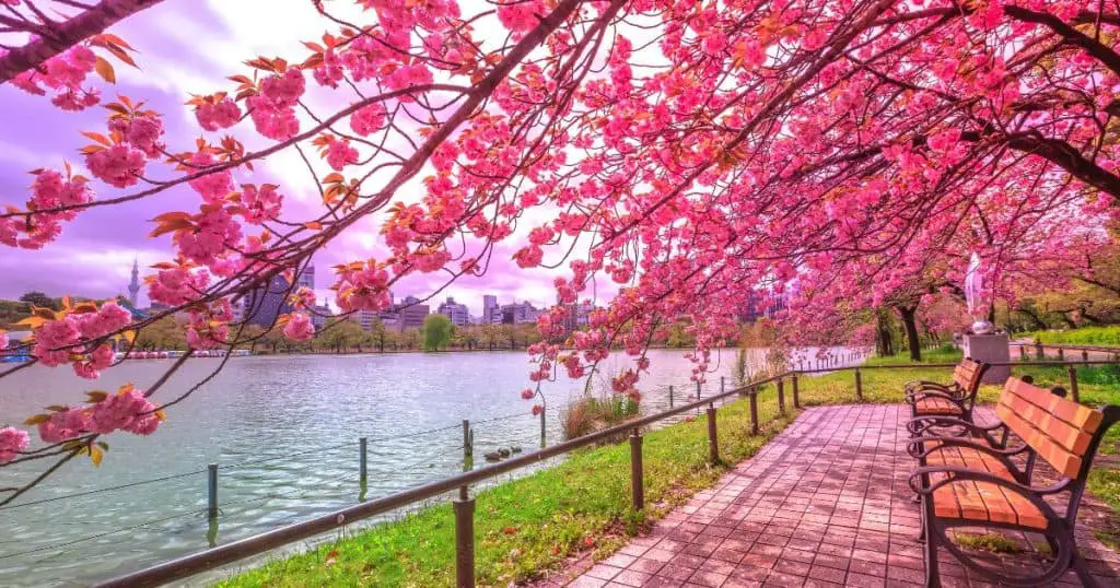 Ueno Park - Best Must-See Landmarks in Tokyo