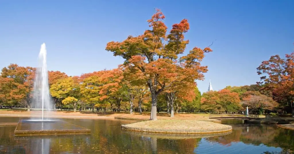 Yoyogi Park - Best Must-See Landmarks in Tokyo