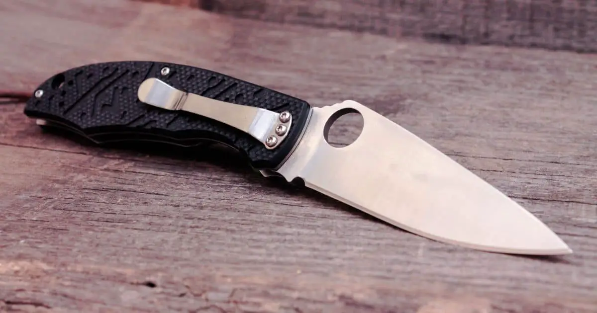 Can I Bring a Pocket Knife on a Plane? Expert Insight and TSA Regulations