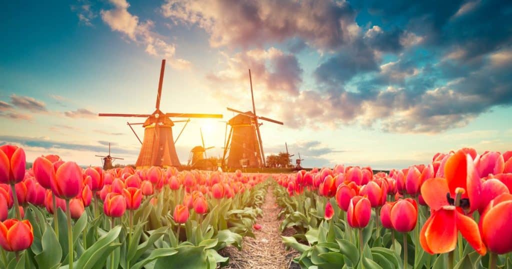 Day Trips from Amsterdam - What to Do in Netherlands for 3 Days