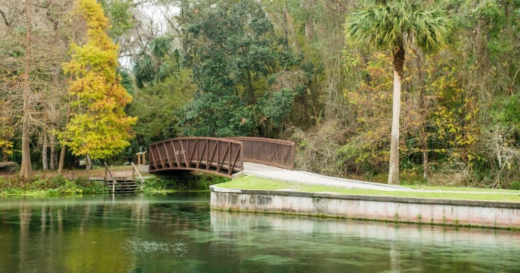 Outdoor Activities - Best Family-Friendly Orlando for Winter
