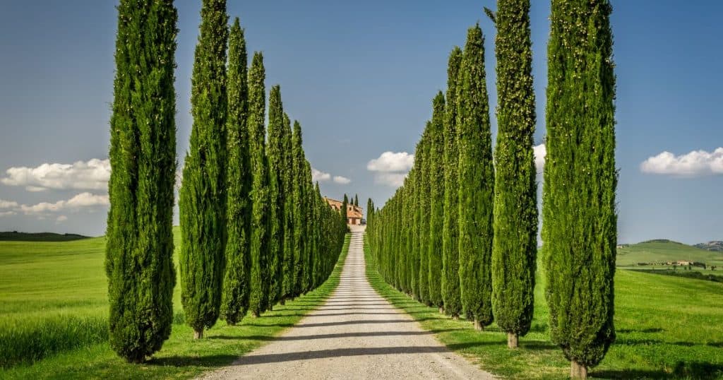 Tuscany - Flying to Italy from US Tips
