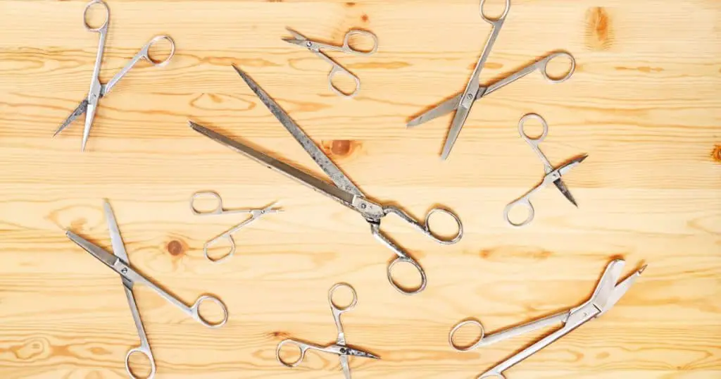 Types of Scissors and Their Allowance - Are Scissors Allowed in Carry-On Luggage