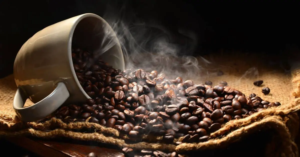 Coffee Tours In Costa Rica: Discover the Best Beans!