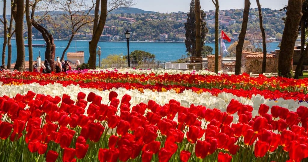 Famous Festivals in Turkey - Best Time to Visit Turkey