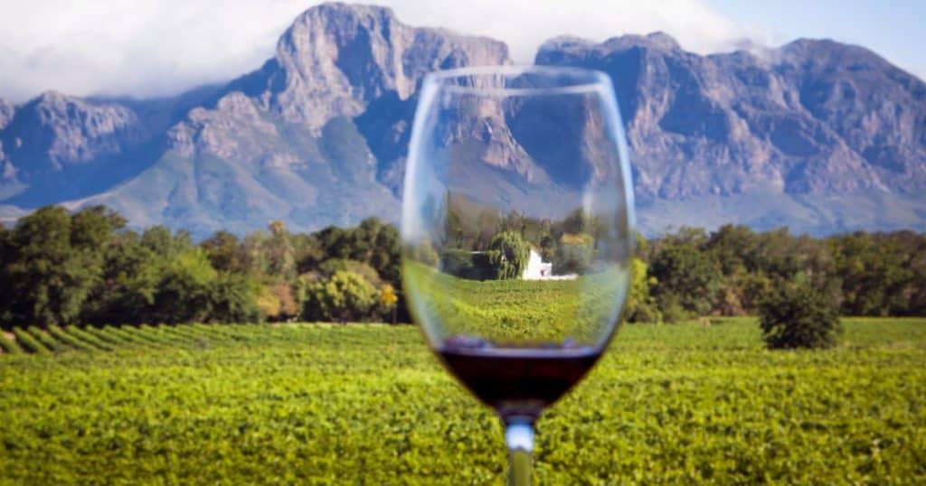 Perfect Season for Wine Tasting - Best Time to Visit South Africa