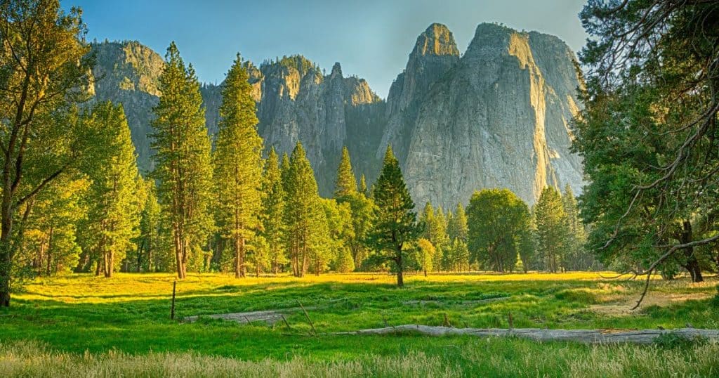 The Thrill of Yosemite - Yosemite vs Yellowstone