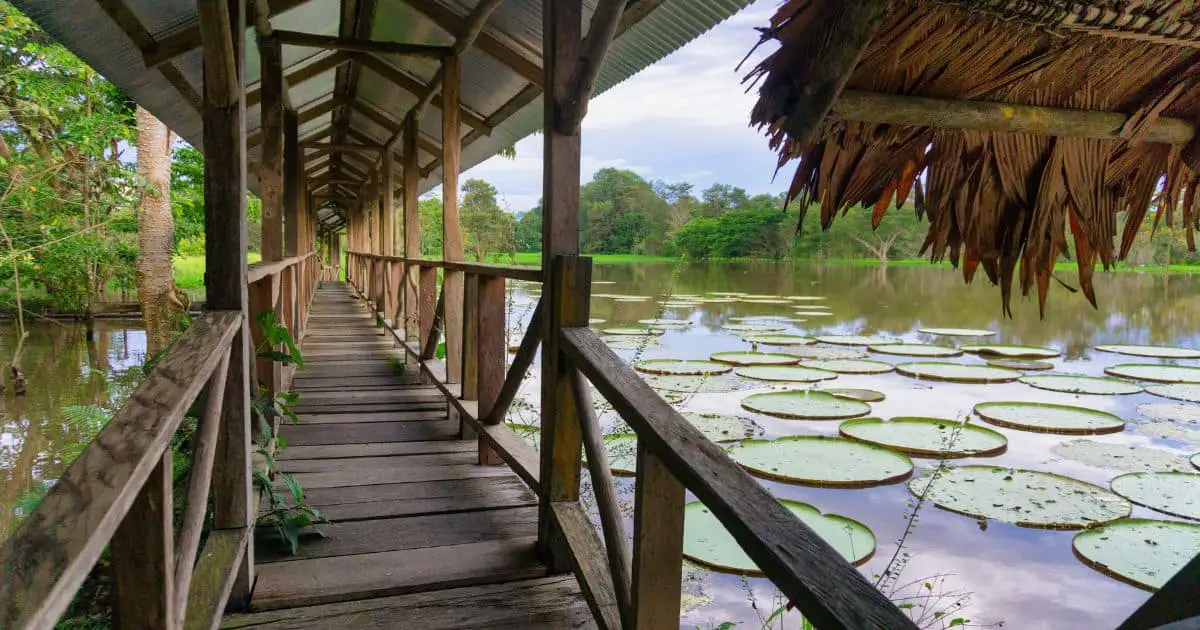 Indigenous Communities - Amazonas